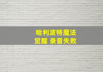 哈利波特魔法觉醒 录音失败